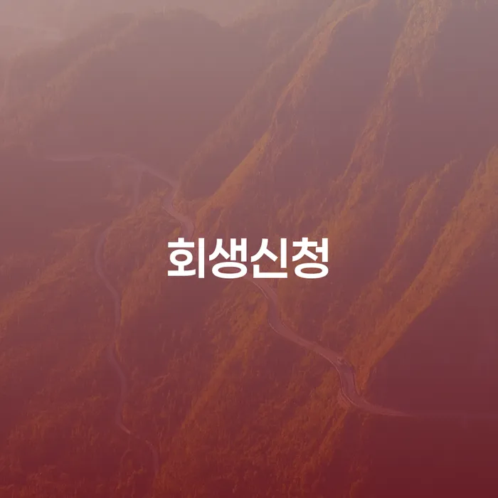 파산절차 추심 대응법 확인하자