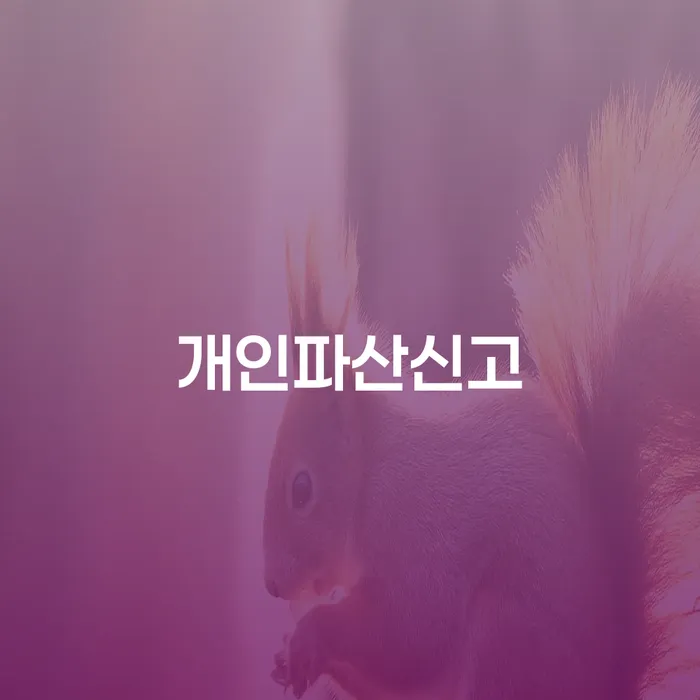 개인사채 대출 연체 개인회생 살펴보고 있다면