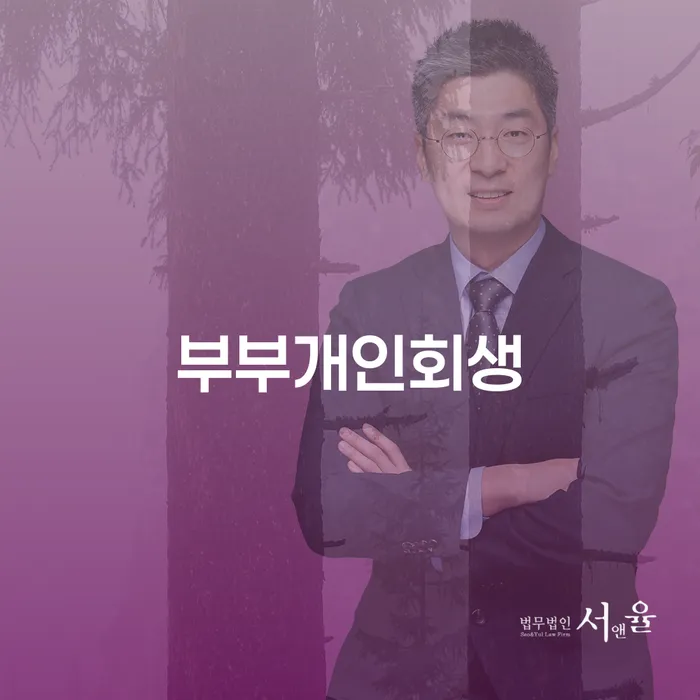 개인회생소득 개인회생 제도 잘 하는 사무소