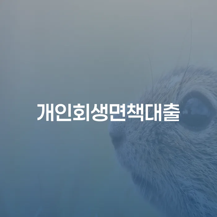 정부대환대출 연체 시 채무조정제도을 이용하여 어떻게