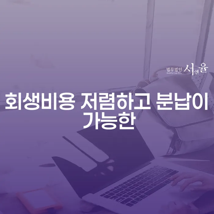 대부업체연체 개인회생 문제해결방법 어떻게 진행되는지