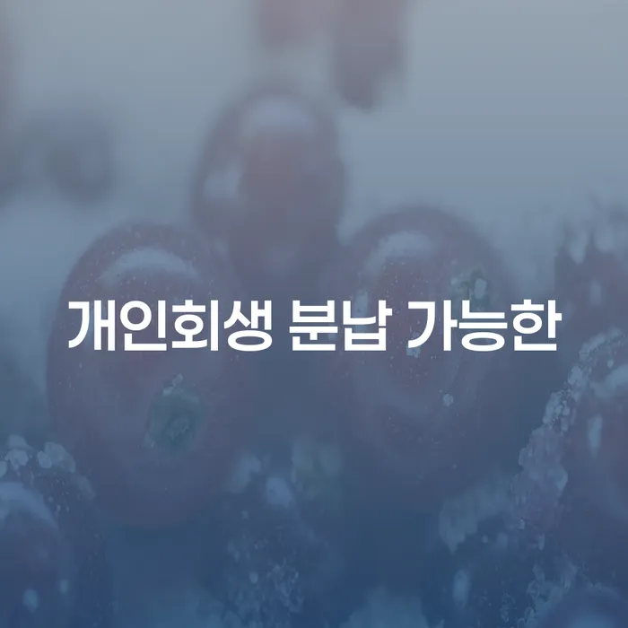 카드빛 개인회생으로 해결방법 알아보려면