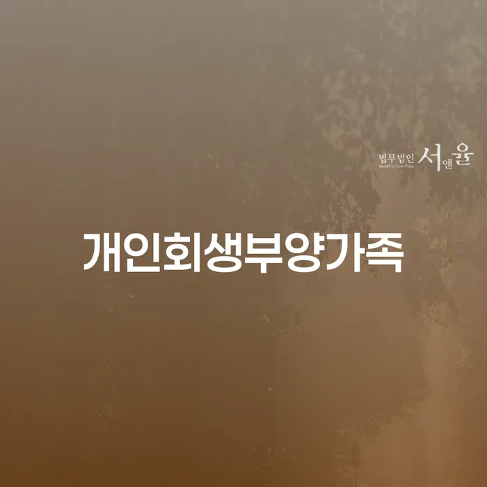 개인회생무료상담 채무 효과적인 해결방법 정해지는