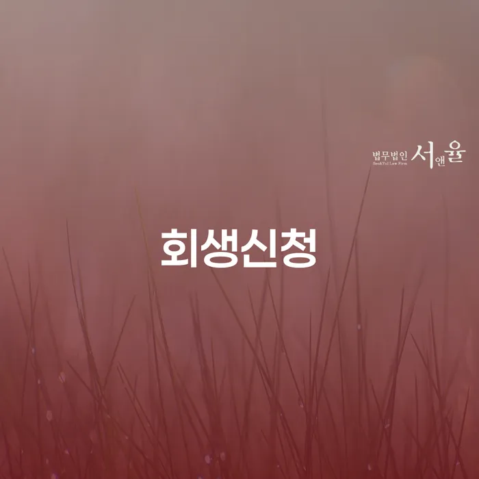 아산시 대구회생 개인회생으로 해결방법 직접상담