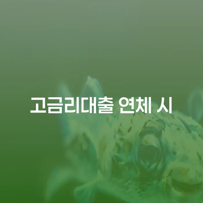 성남시 창원파산신청 개인회생 문제해결방법 해결 방법 알려드려요.