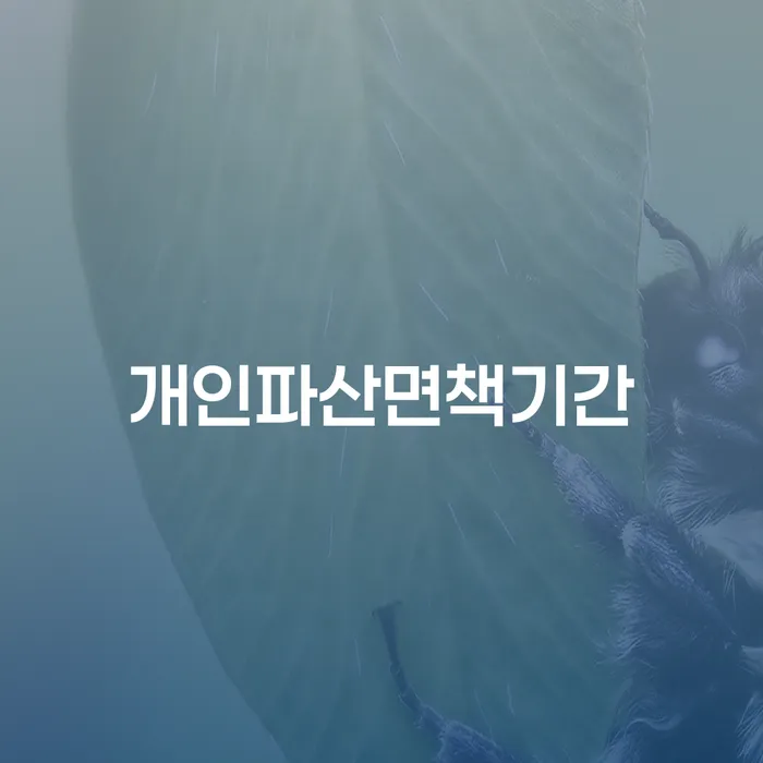 인천광역시 불법사채 빚갚는 방법 문제를 해결