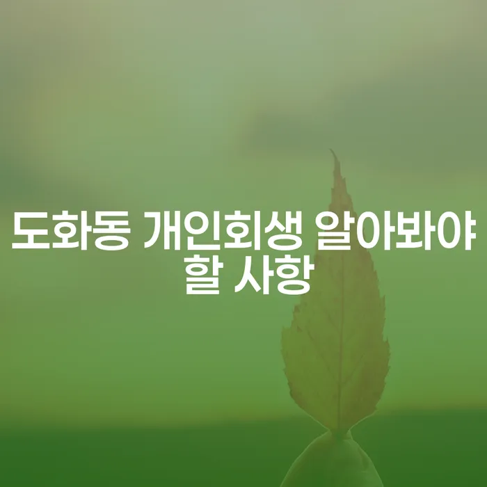 도화동 개인회생 알아봐야 할 사항