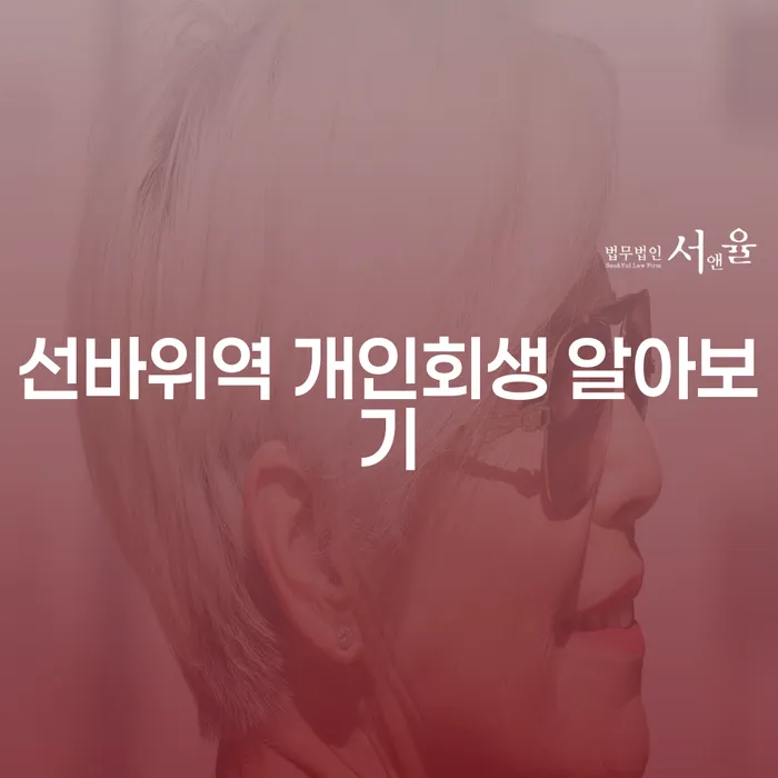 선바위역 개인회생 알아보기