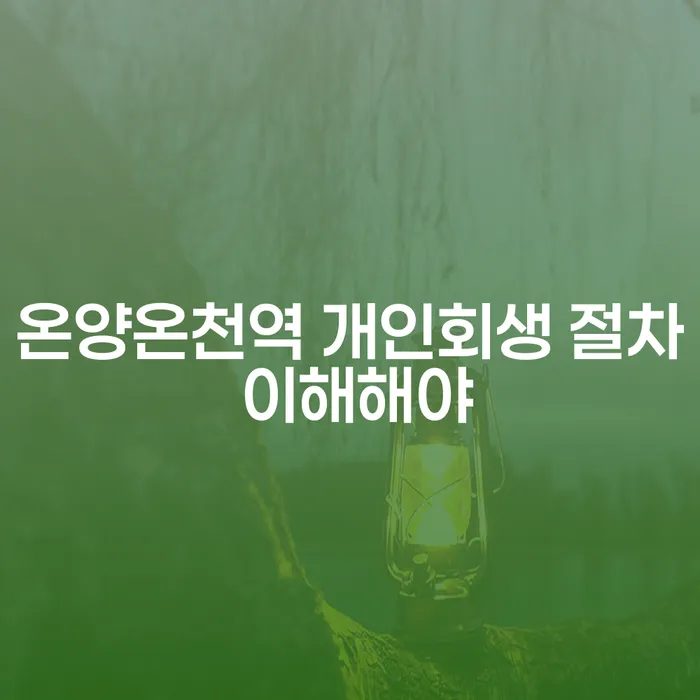온양온천역 개인회생 절차 이해해야