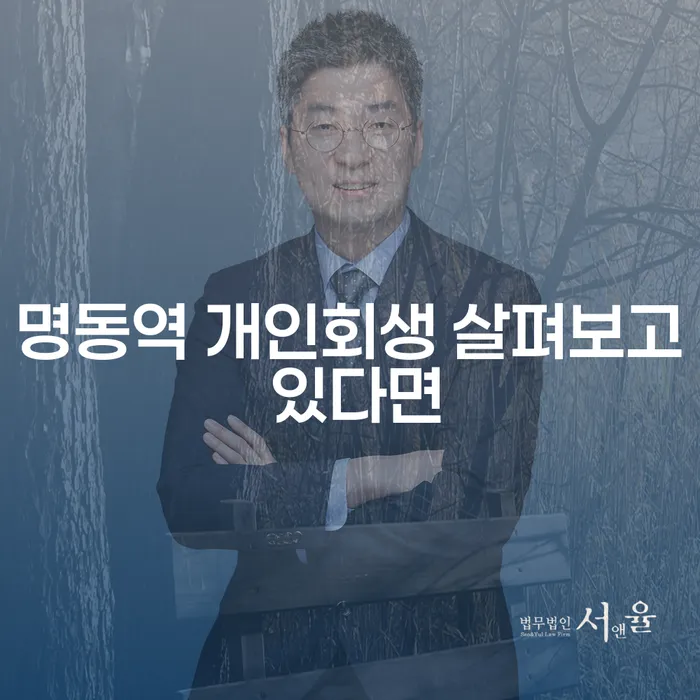 명동역 개인회생 살펴보고 있다면