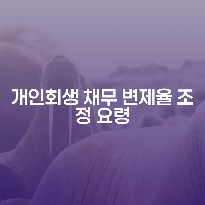 개인회생 채무 변제율 조정 요령을 알고 계신가요?