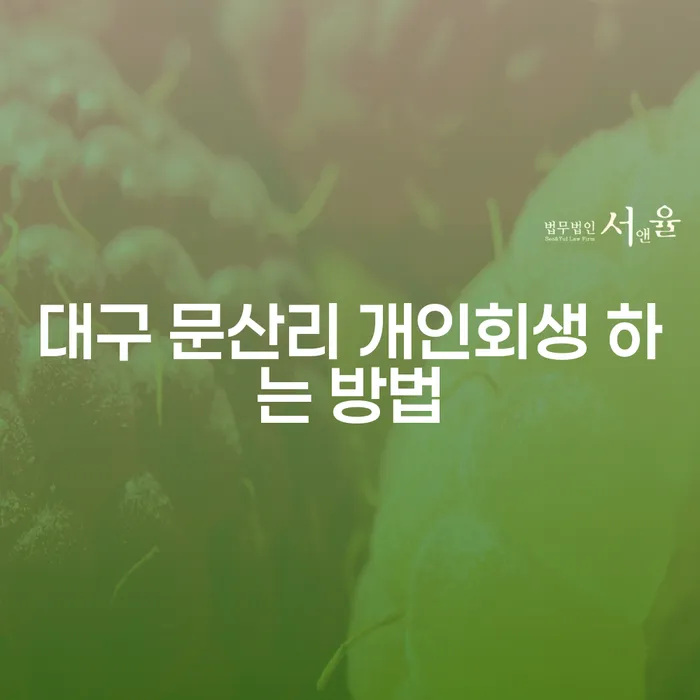 대구 문산리 개인회생 하는 방법은 어떻게 찾을 수 있을까요?