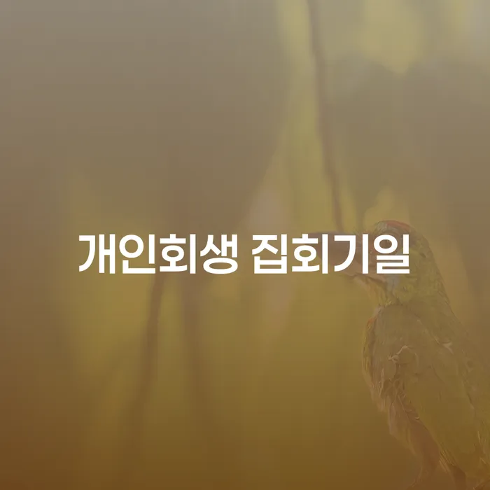 개인회생 집회기일, 언제 어떻게 준비해야 할까요?